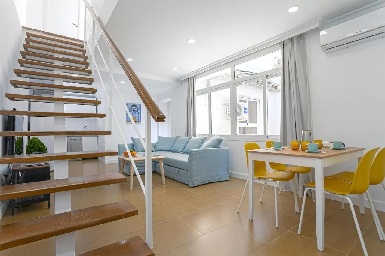 Historic Center Private Terrace Apartment Malaga