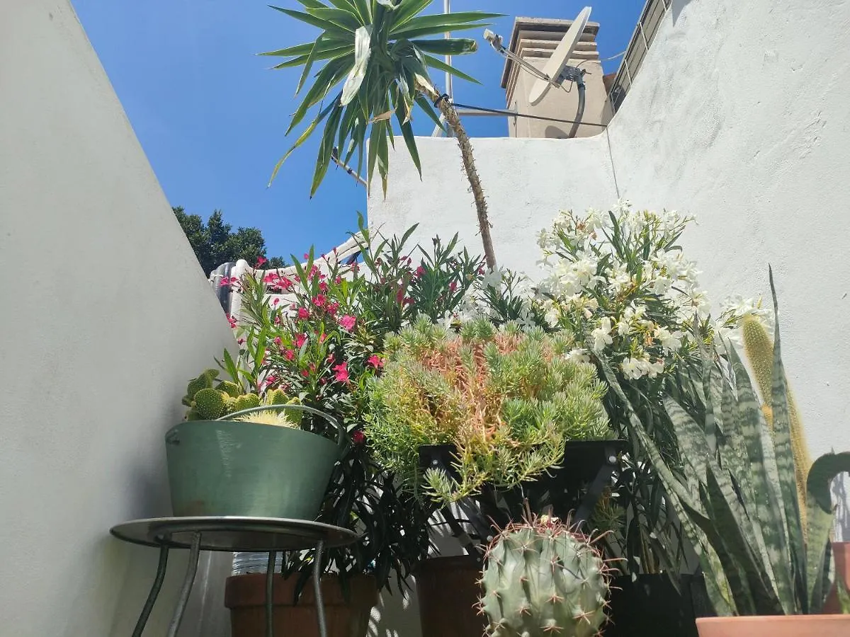 Historic Center Private Terrace Apartment Malaga Spain